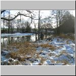 Lasenice 24.11.2008-3.JPG